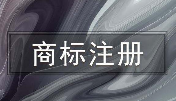馬德里商標轉受讓申請人的要求